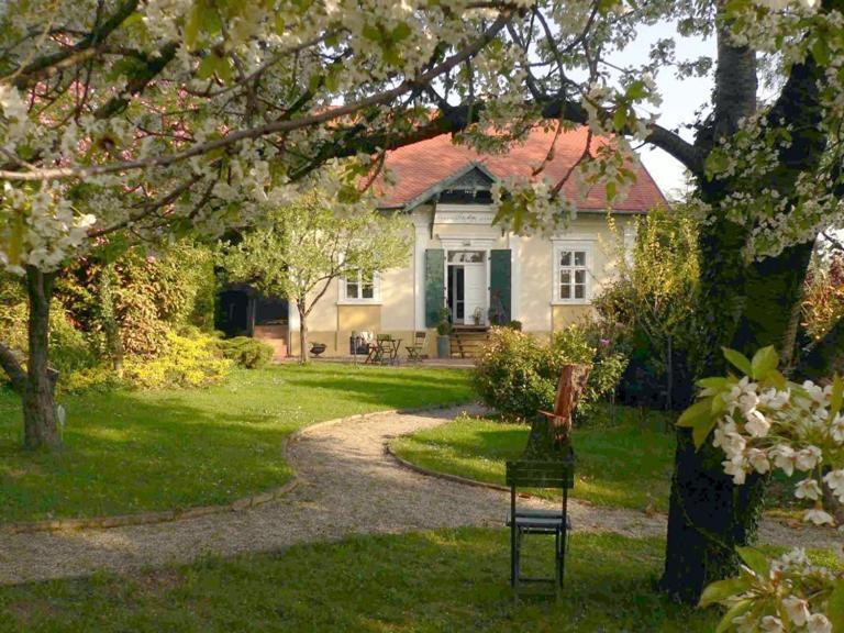 Villa Mimi Sopron Eksteriør billede
