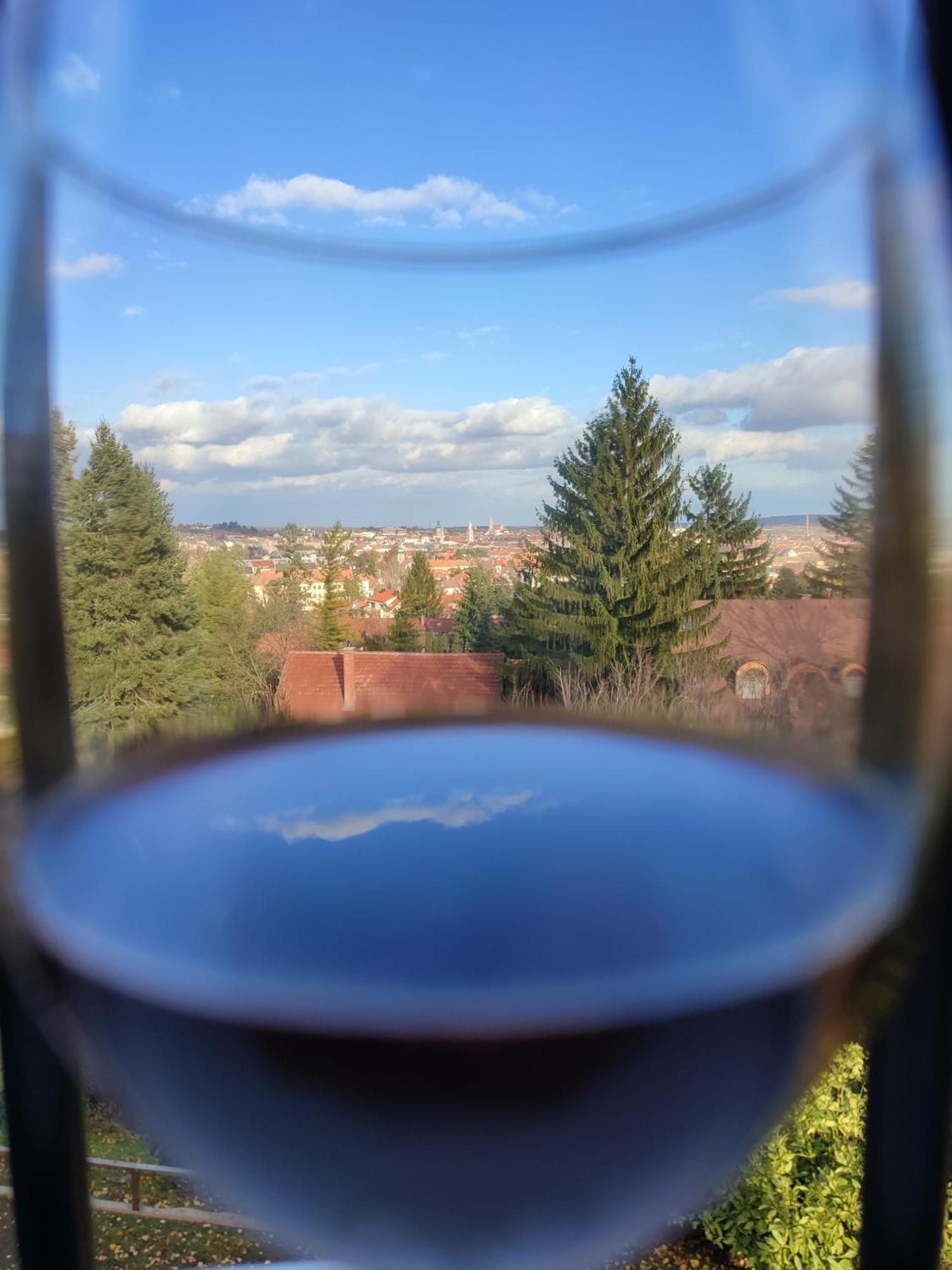 Villa Mimi Sopron Eksteriør billede